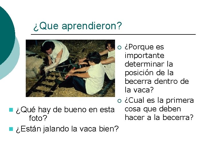 ¿Que aprendieron? ¡ ¡ ¿Qué hay de bueno en esta foto? n ¿Están jalando