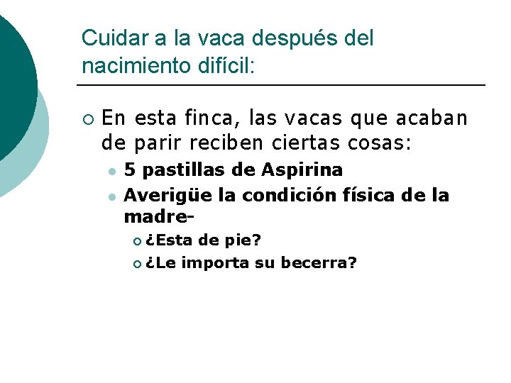 Cuidar a la vaca después del nacimiento difícil: ¡ En esta finca, las vacas