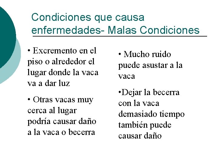 Condiciones que causa enfermedades- Malas Condiciones • Excremento en el piso o alrededor el