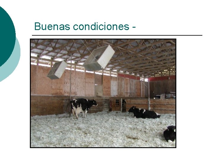 Buenas condiciones - 