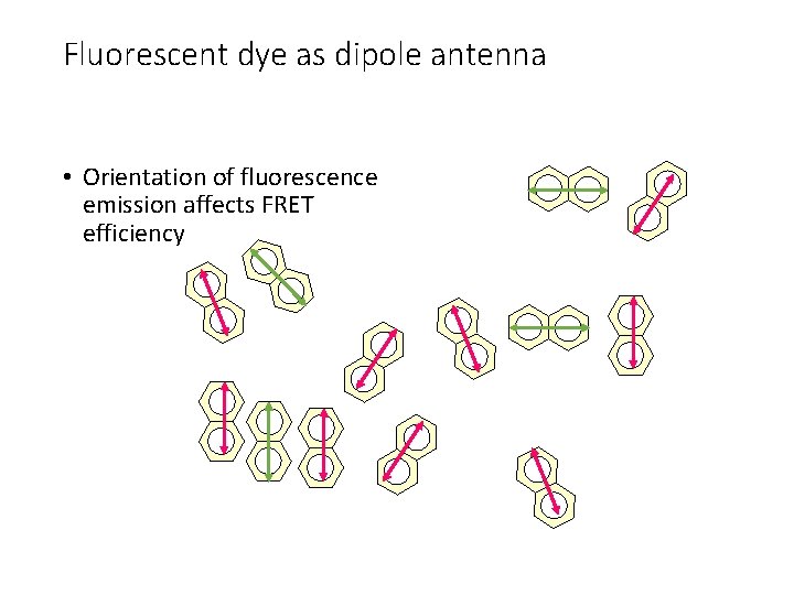 Fluorescent dye as dipole antenna • Orientation of fluorescence emission affects FRET efficiency 