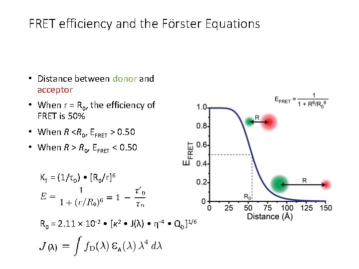 FRET efficiency and the Förster Equations • Distance between donor and acceptor • When