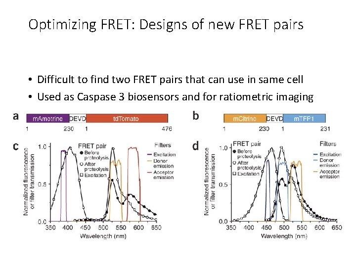 Optimizing FRET: Designs of new FRET pairs • Difficult to find two FRET pairs