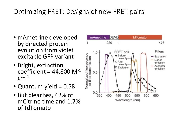 Optimizing FRET: Designs of new FRET pairs • m. Ametrine developed by directed protein