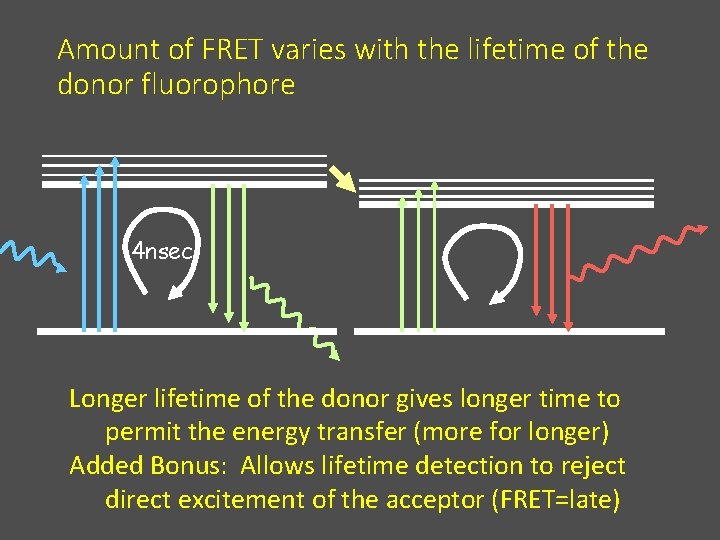 Amount of FRET varies with the lifetime of the donor fluorophore 4 nsec Longer