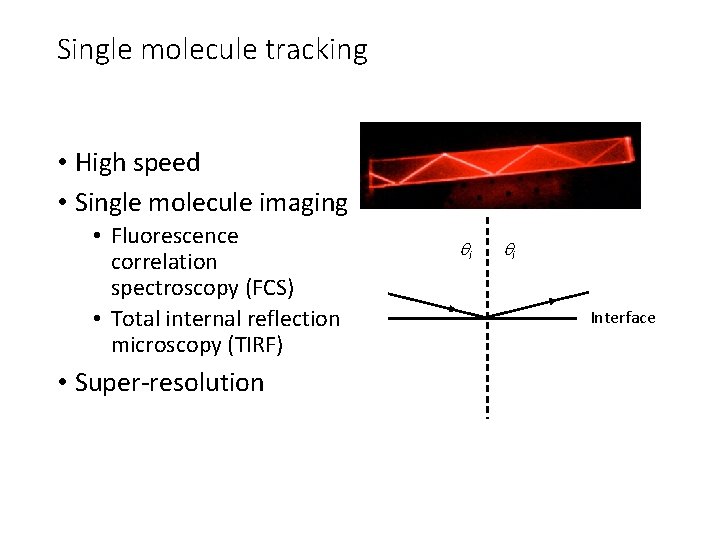 Single molecule tracking • High speed • Single molecule imaging • Fluorescence correlation spectroscopy