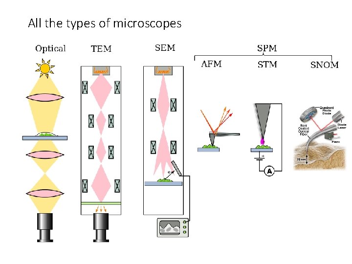 All the types of microscopes 