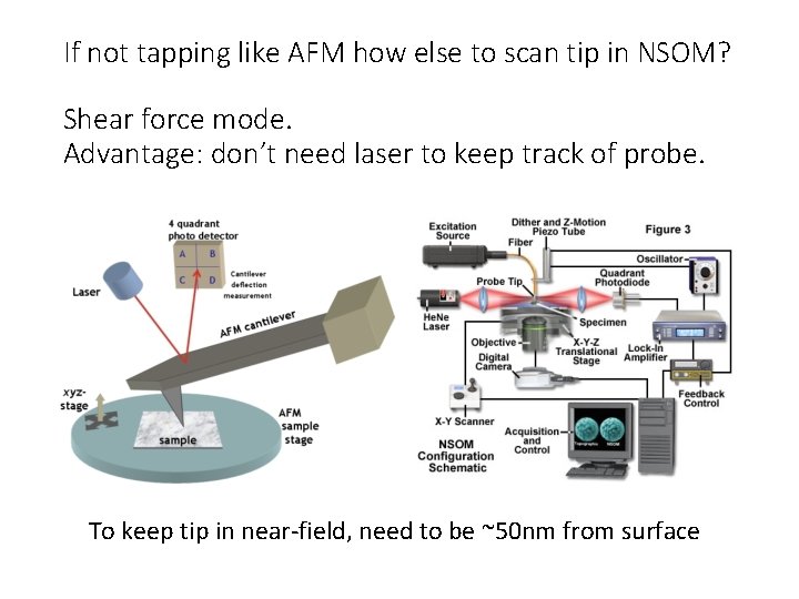 If not tapping like AFM how else to scan tip in NSOM? Shear force