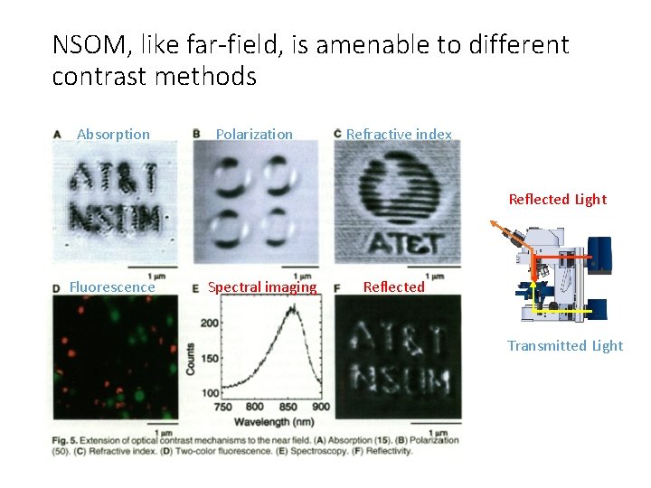 NSOM, like far-field, is amenable to different contrast methods Absorption Polarization Refractive index Reflected