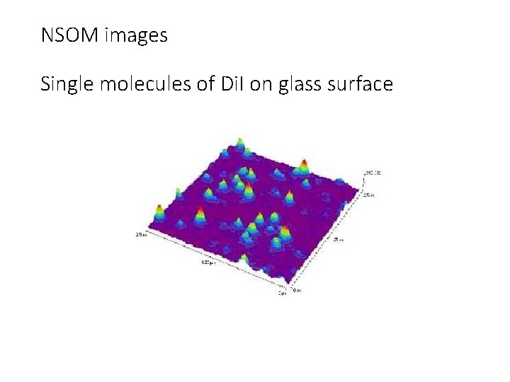 NSOM images Single molecules of Di. I on glass surface 