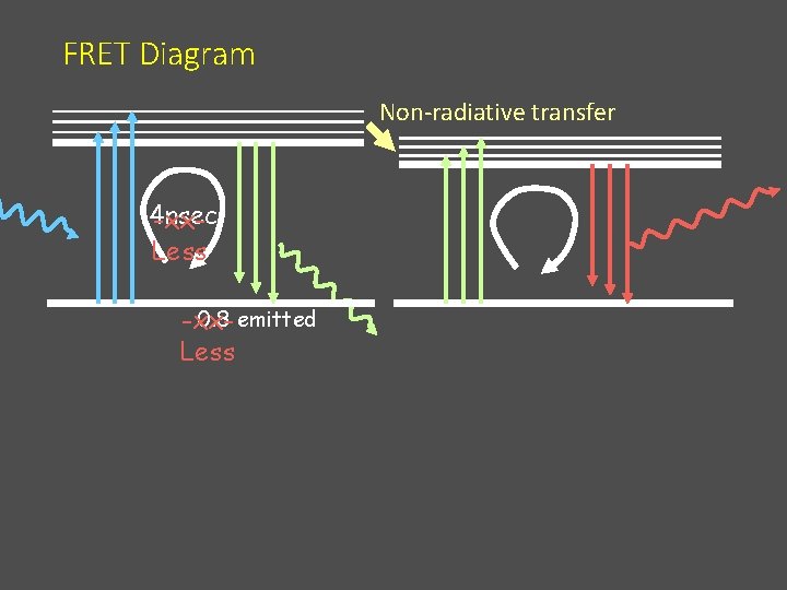 FRET Diagram Non-radiative transfer 4 nsec -xx. Less 0. 8 emitted -xx. Less 