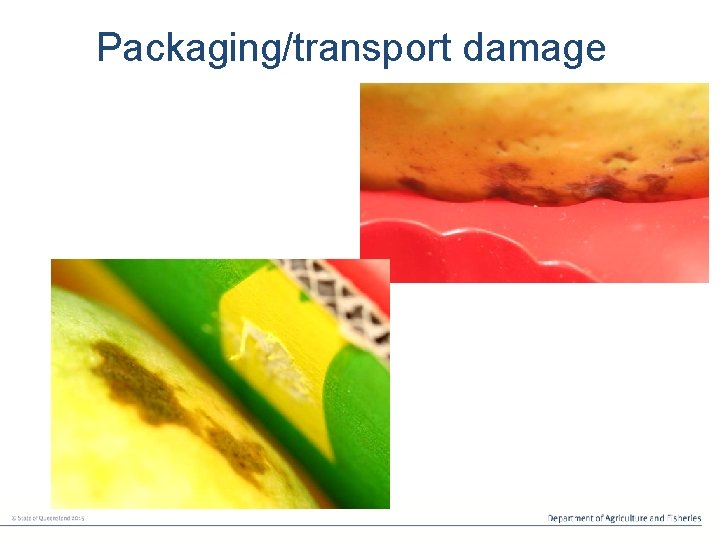 Packaging/transport damage 