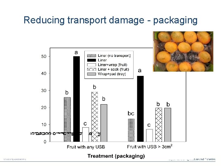 Reducing transport damage - packaging 