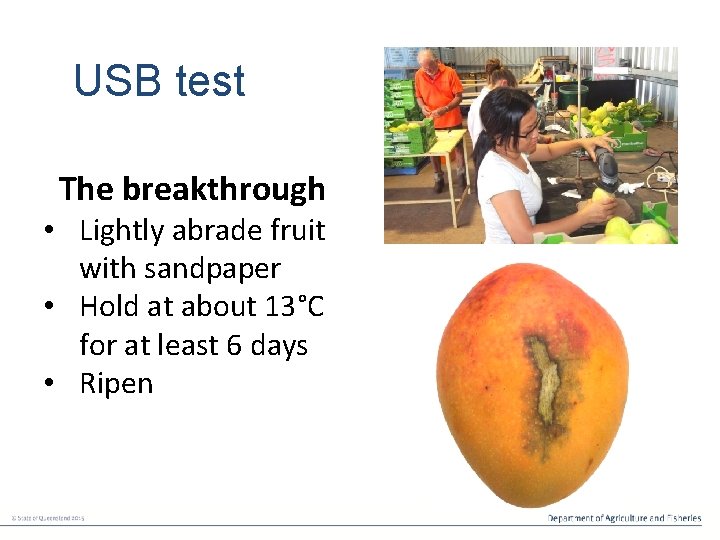USB test The breakthrough • Lightly abrade fruit with sandpaper • Hold at about
