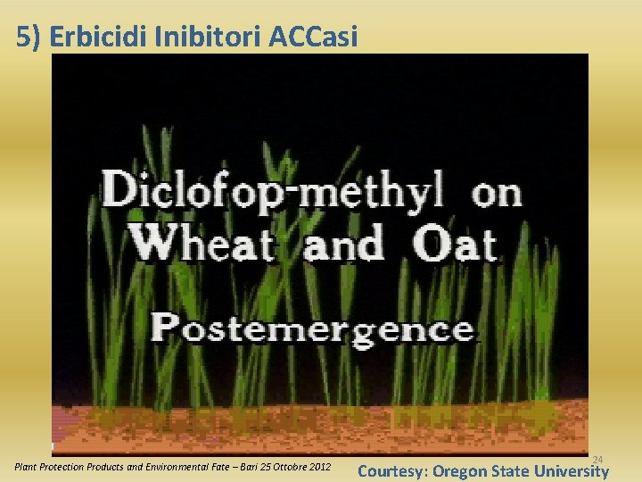 5) Erbicidi Inibitori ACCasi Plant Protection Products and Environmental Fate – Bari 25 Ottobre