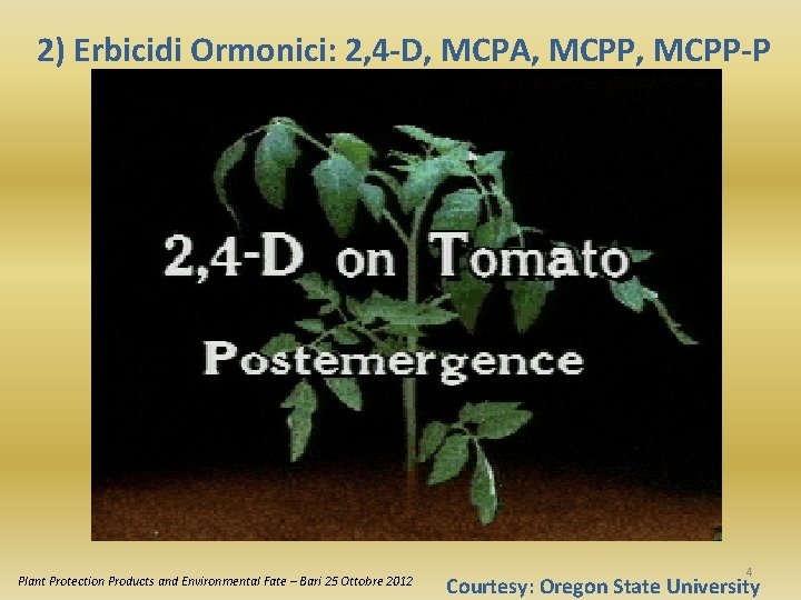 2) Erbicidi Ormonici: 2, 4 -D, MCPA, MCPP-P Plant Protection Products and Environmental Fate