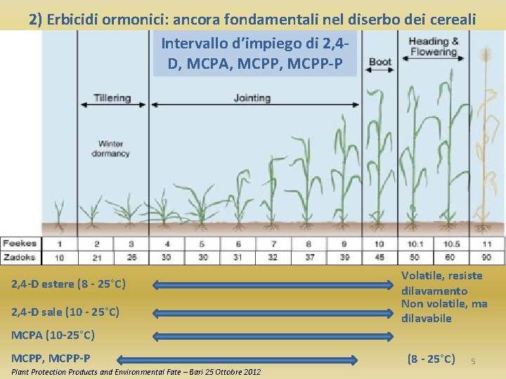 2) Erbicidi ormonici: ancora fondamentali nel diserbo dei cereali Intervallo d’impiego di 2, 4