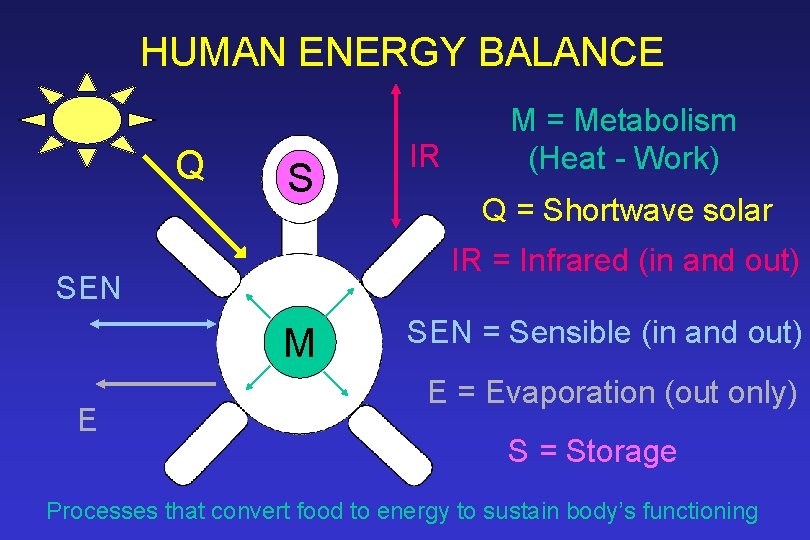 HUMAN ENERGY BALANCE Q S Q = Shortwave solar IR = Infrared (in and