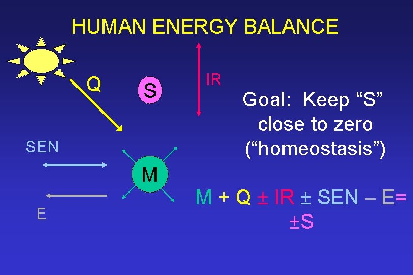 HUMAN ENERGY BALANCE Q S SEN M E IR Goal: Keep “S” close to