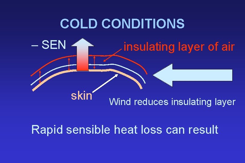 COLD CONDITIONS – SEN insulating layer of air skin Wind reduces insulating layer Rapid