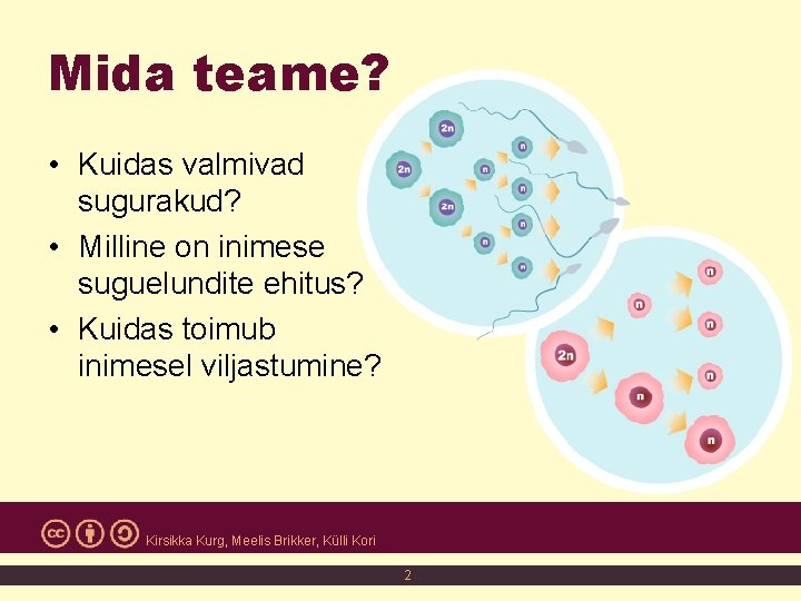 Mida teame? • Kuidas valmivad sugurakud? • Milline on inimese suguelundite ehitus? • Kuidas