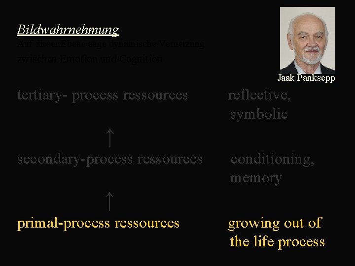  Bildwahrnehmung Auf dieser Ebene enge dynamische Vernetzung zwischen Emotion und Cognition Jaak Panksepp