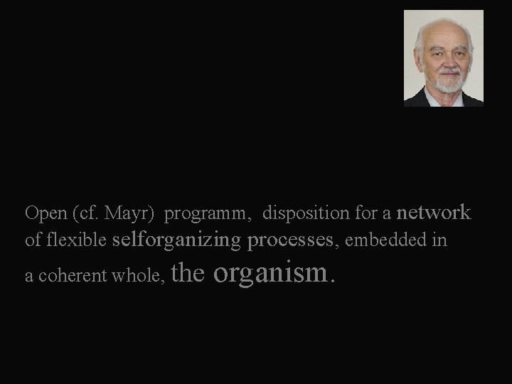  Open (cf. Mayr) programm, disposition for a network of flexible selforganizing processes, embedded