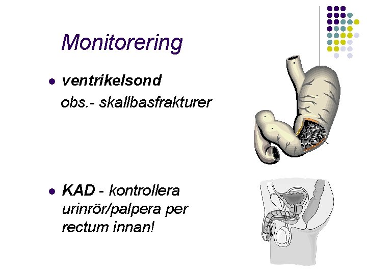 Monitorering l ventrikelsond obs. - skallbasfrakturer l KAD - kontrollera urinrör/palpera per rectum innan!