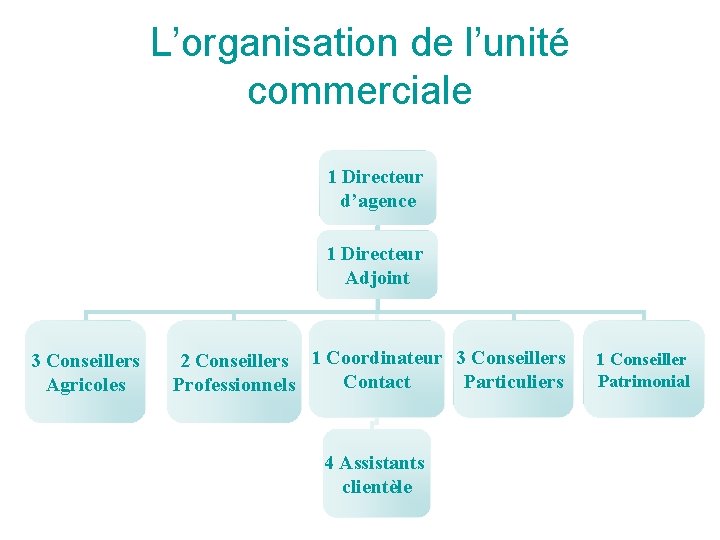 L’organisation de l’unité commerciale 1 Directeur d’agence 1 Directeur Adjoint 3 Conseillers Agricoles 2