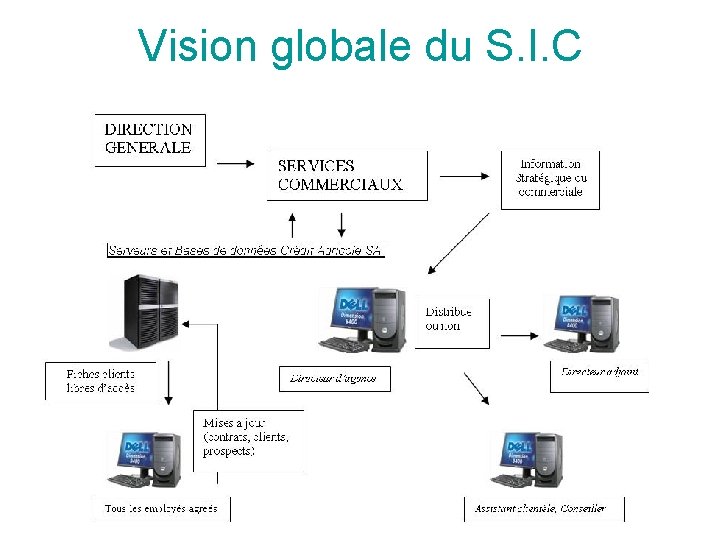 Vision globale du S. I. C 