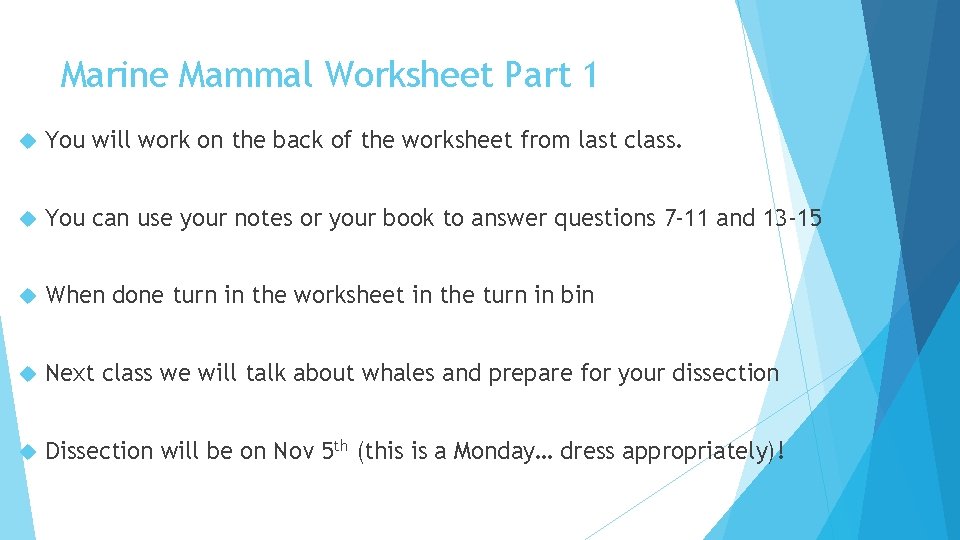 Marine Mammal Worksheet Part 1 You will work on the back of the worksheet