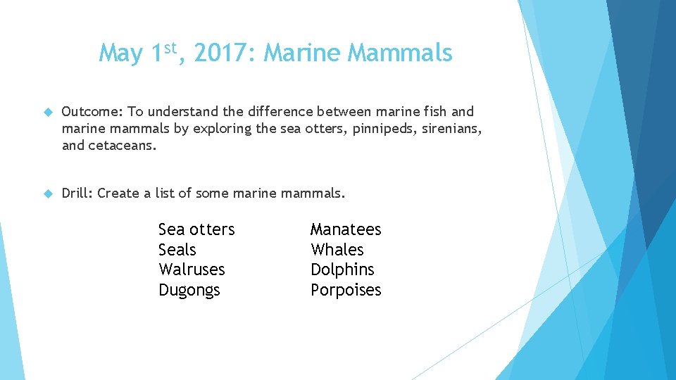 May 1 st, 2017: Marine Mammals Outcome: To understand the difference between marine fish