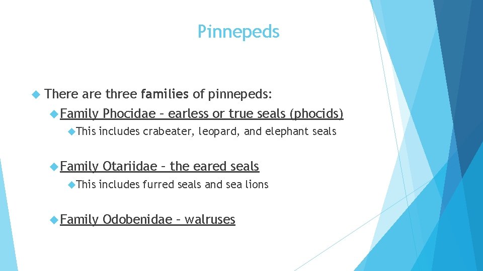 Pinnepeds There are three families of pinnepeds: Family Phocidae – earless or true seals