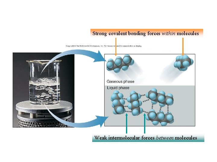 Strong covalent bonding forces within molecules Weak intermolecular forces between molecules 