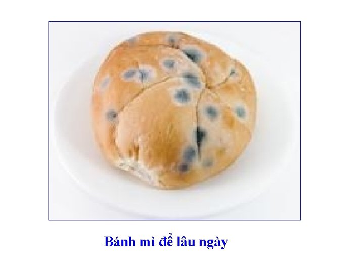 Bánh mì để lâu ngày 