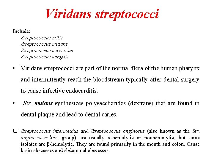 Viridans streptococci Include: Streptococcus mitis Streptococcus mutans Streptococcus salivarius Streptococcus sanguis • Viridans streptococci