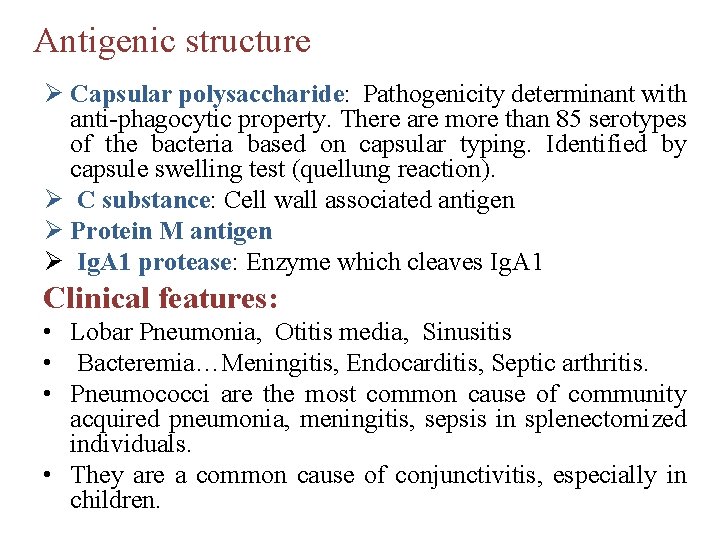  Antigenic structure Ø Capsular polysaccharide: Pathogenicity determinant with anti-phagocytic property. There are more