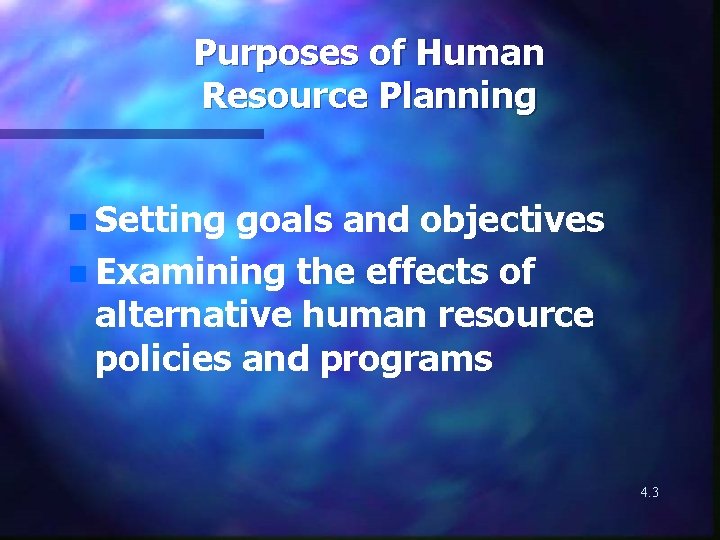 Purposes of Human Resource Planning n Setting goals and objectives n Examining the effects