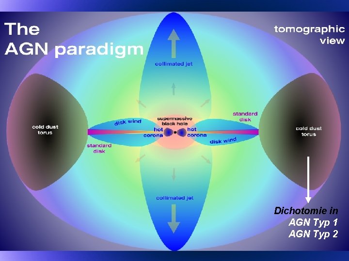 Dichotomie in AGN Typ 1 AGN Typ 2 