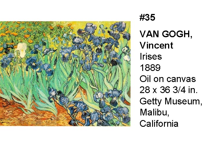 #35 VAN GOGH, Vincent Irises 1889 Oil on canvas 28 x 36 3/4 in.