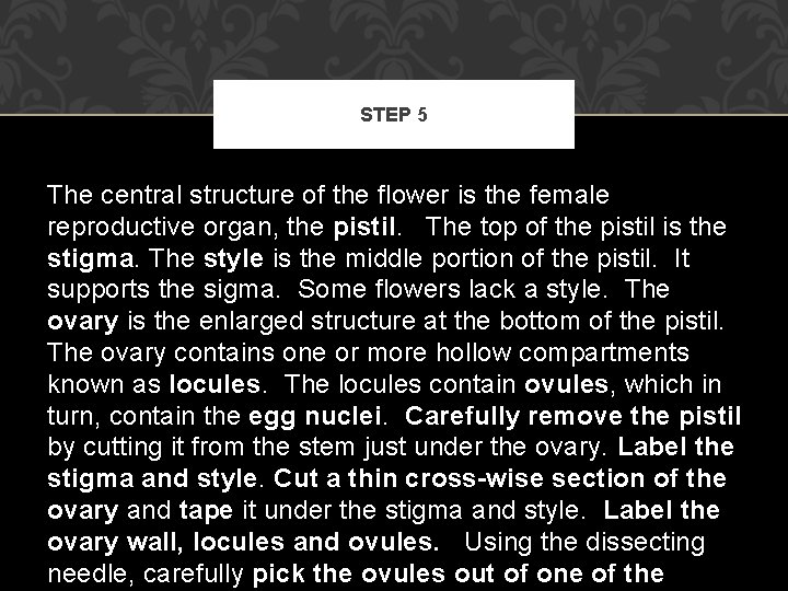 STEP 5 The central structure of the flower is the female reproductive organ, the