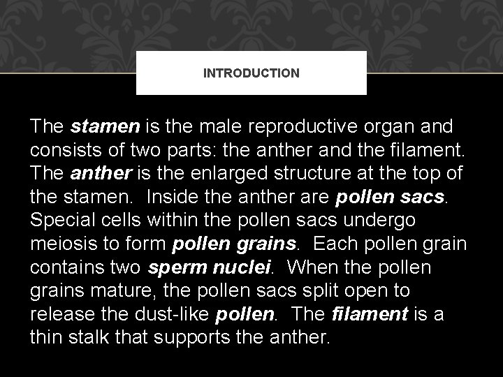 INTRODUCTION The stamen is the male reproductive organ and consists of two parts: the