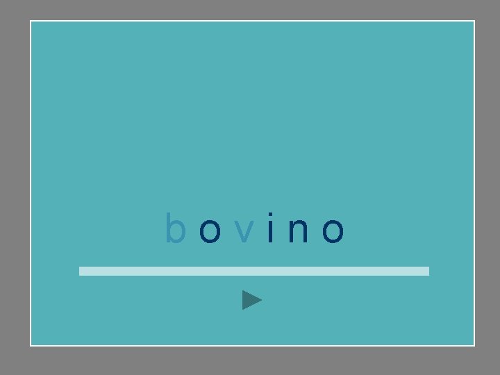 bovino 