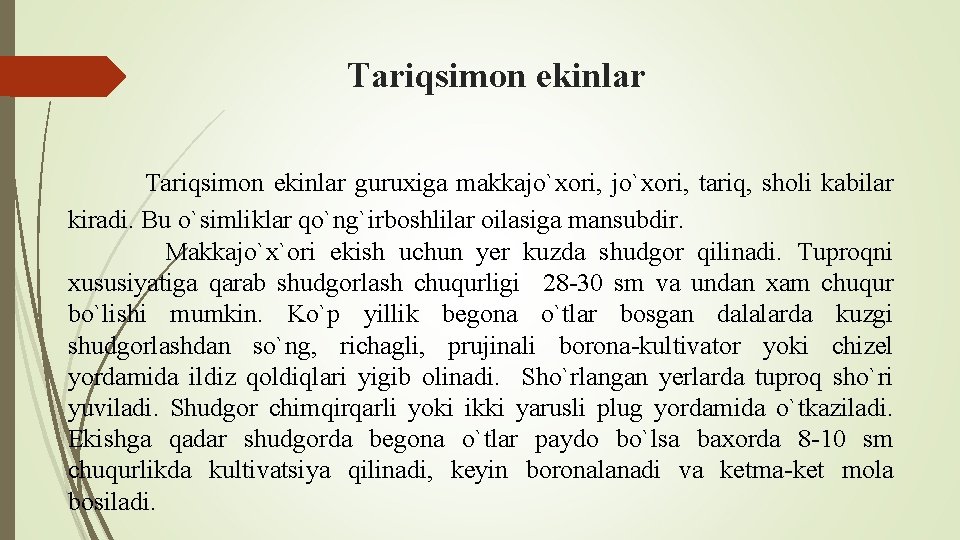 Tariqsimon ekinlar guruxiga makkajo`xori, tariq, sholi kabilar kiradi. Bu o`simliklar qo`ng`irboshlilar oilasiga mansubdir. Makkajo`x`ori