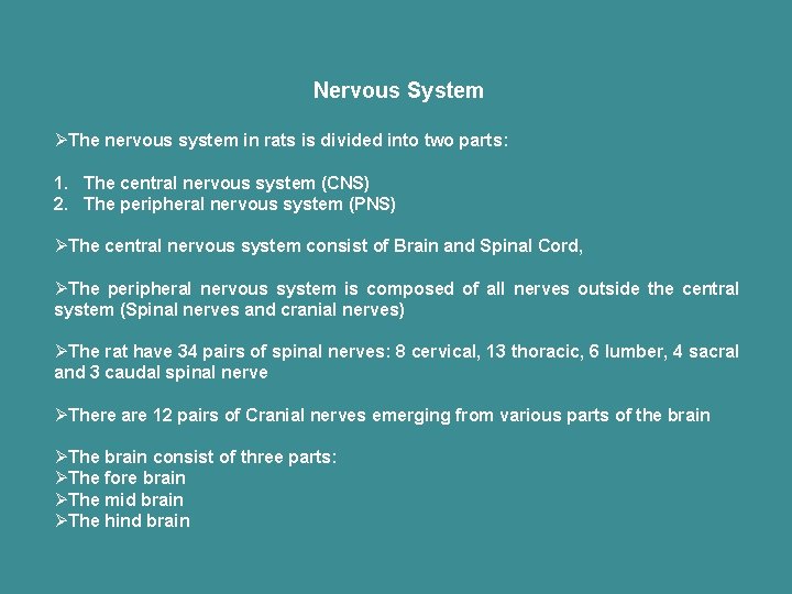 Nervous System ØThe nervous system in rats is divided into two parts: 1. The