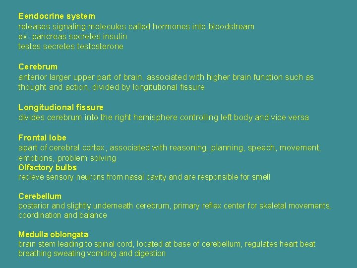 Eendocrine system releases signaling molecules called hormones into bloodstream ex. pancreas secretes insulin testes