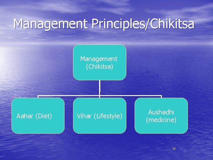 Management Principles/Chikitsa Management (Chikitsa) Aahar (Diet) Vihar (Lifestyle) Aushadhi (medicine) 12 