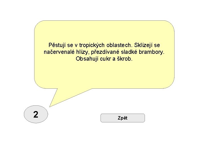 Pěstují se v tropických oblastech. Sklízejí se načervenalé hlízy, přezdívané sladké brambory. Obsahují cukr