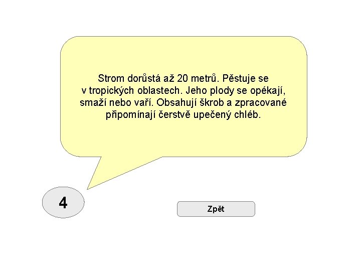 Strom dorůstá až 20 metrů. Pěstuje se v tropických oblastech. Jeho plody se opékají,