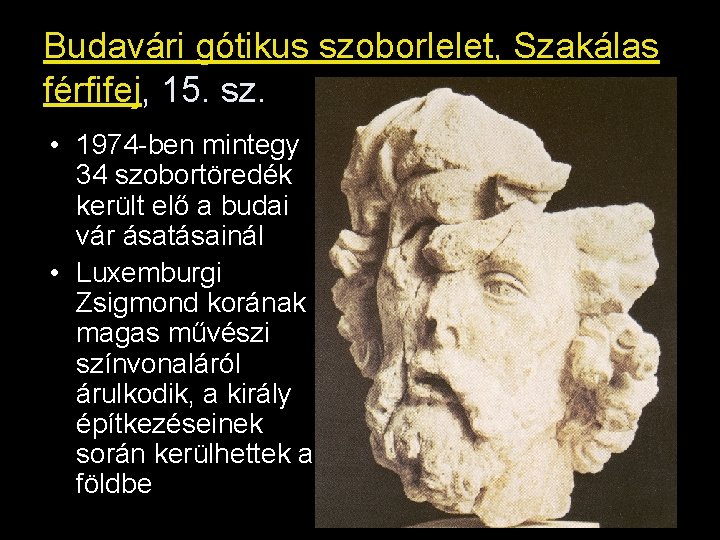 Budavári gótikus szoborlelet, Szakálas férfifej, 15. sz. • 1974 -ben mintegy 34 szobortöredék került